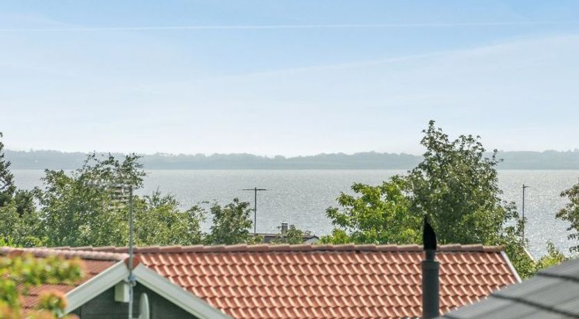 Photo of "Damiana" - 500m from the sea