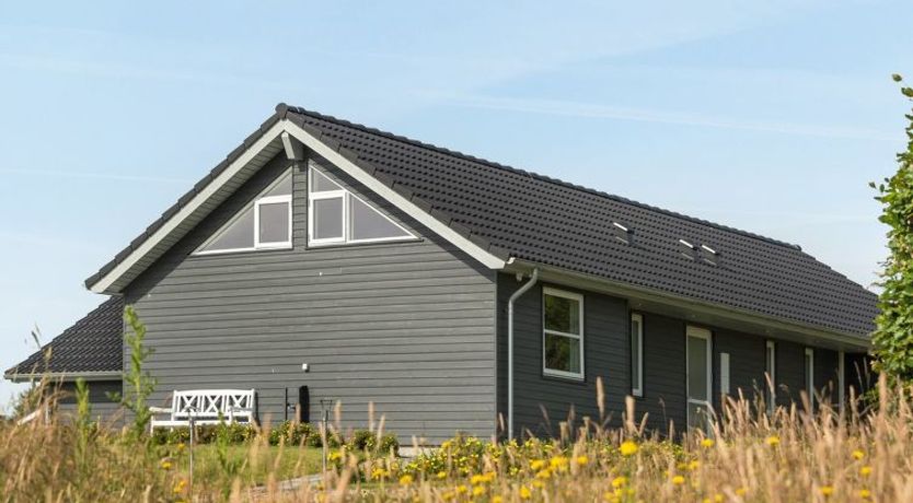 Photo of "Damiana" - 500m from the sea