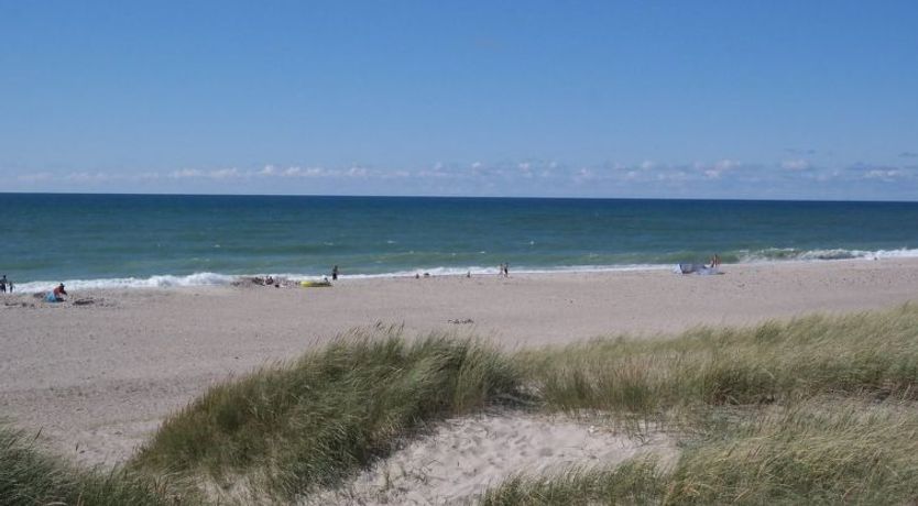 Photo of "Iines" - 200m from the sea