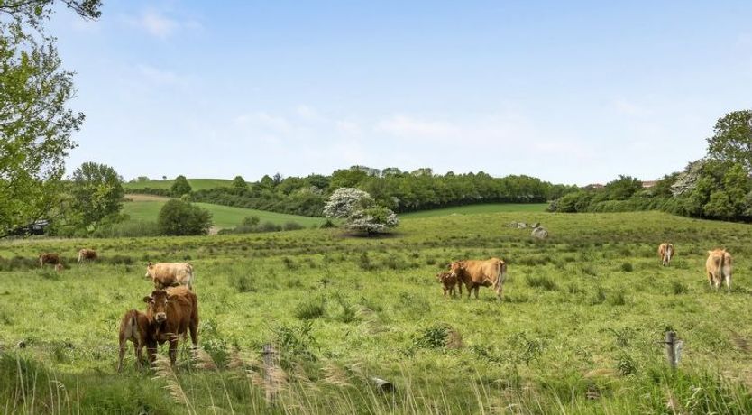 Photo of "Sigbritt" - 100m from the sea