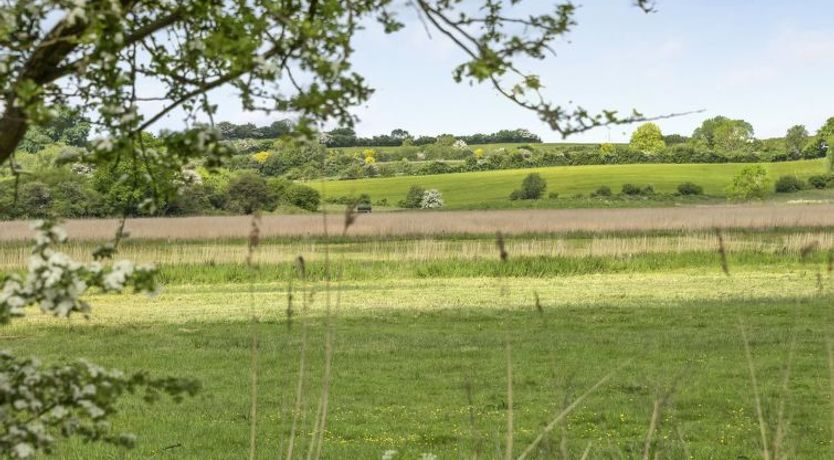 Photo of "Sigbritt" - 100m from the sea