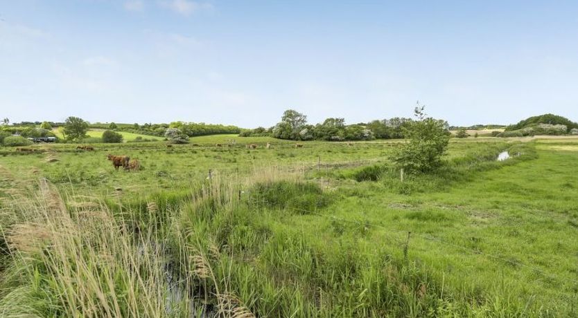 Photo of "Sigbritt" - 100m from the sea