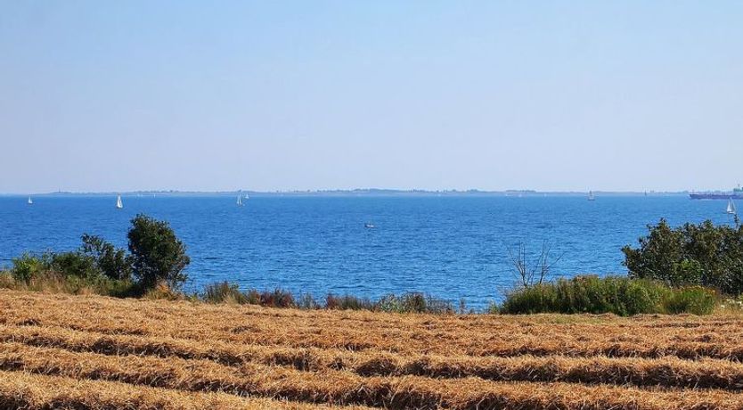 Photo of "Hera" - 200m from the sea