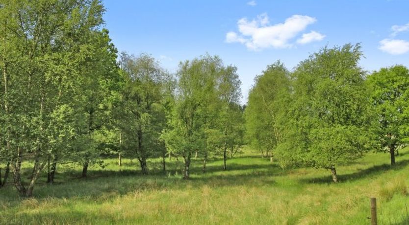 Photo of "Terese" - 45km from the sea