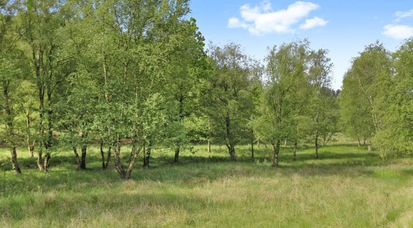 Photo of "Terese" - 45km from the sea