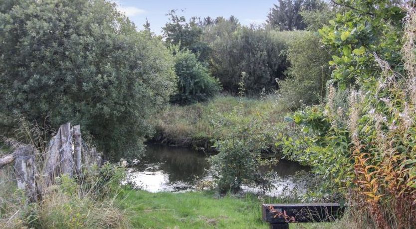 Photo of "Terese" - 45km from the sea