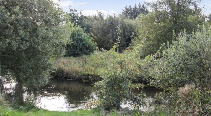 Photo of "Terese" - 45km from the sea