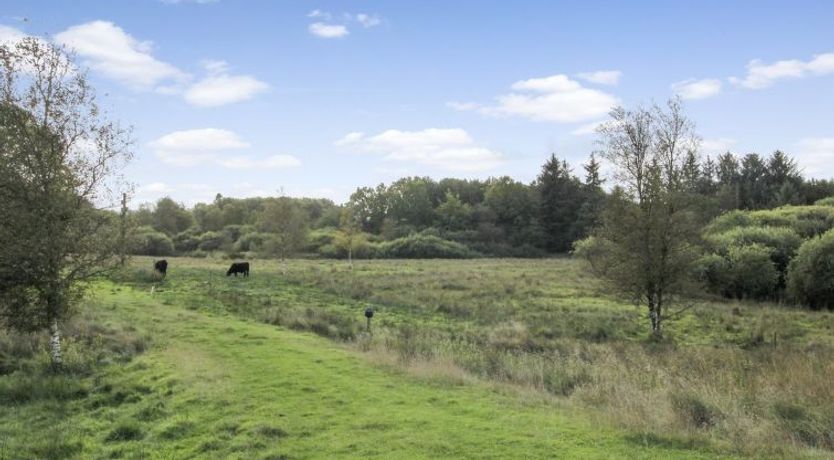 Photo of "Terese" - 45km from the sea