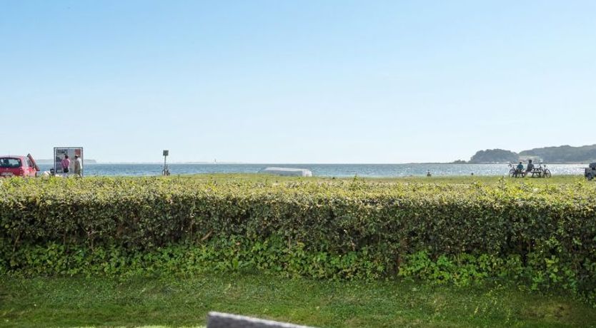 Photo of "Katrina" - 50m to the fjord