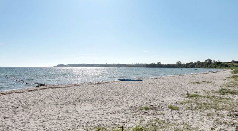 Photo of "Katrina" - 50m to the fjord