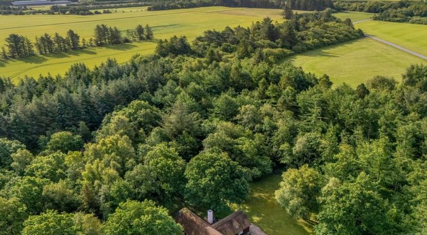 Photo of "Fina" - 15km from the sea