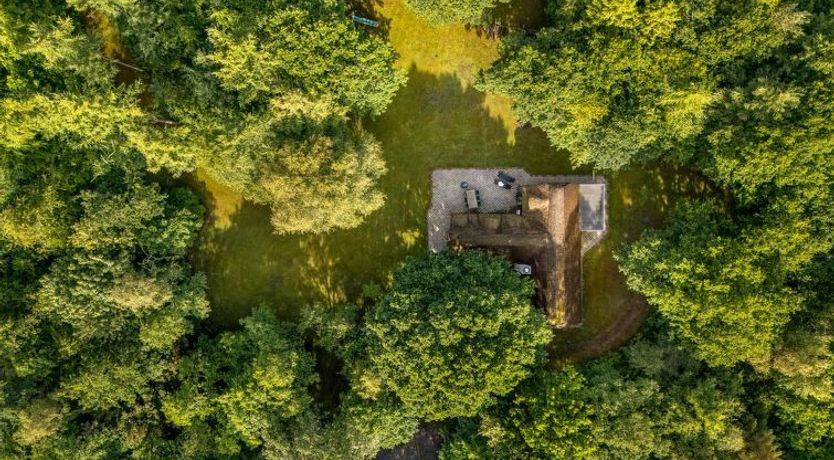 Photo of "Fina" - 15km from the sea