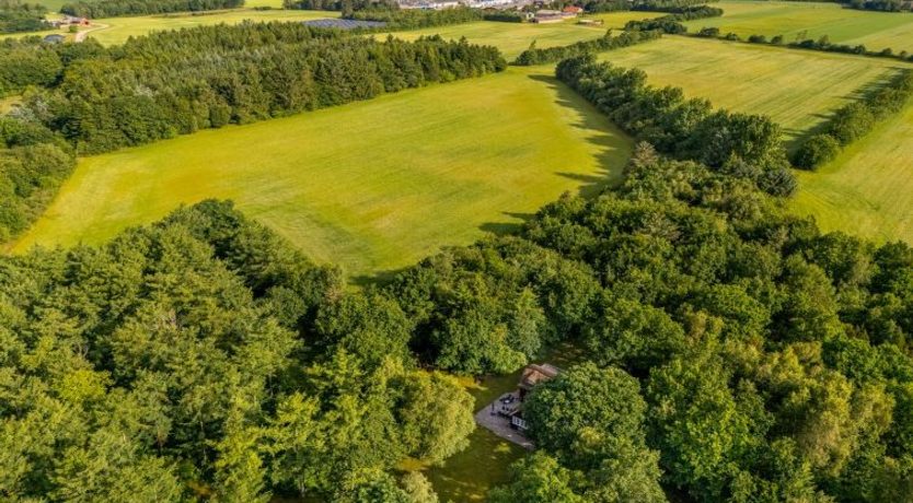 Photo of "Fina" - 15km from the sea