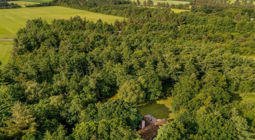 Photo of "Fina" - 15km from the sea