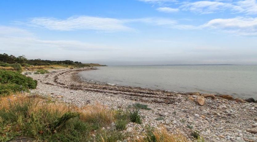 Photo of "Rik" - 350m from the sea