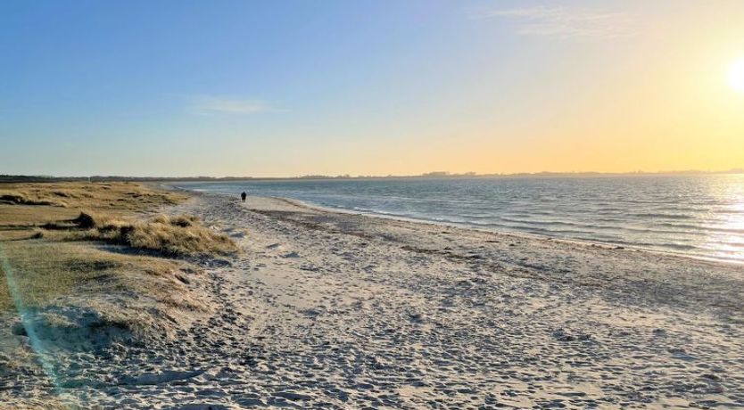 Photo of "Gregor" - 300m from the sea