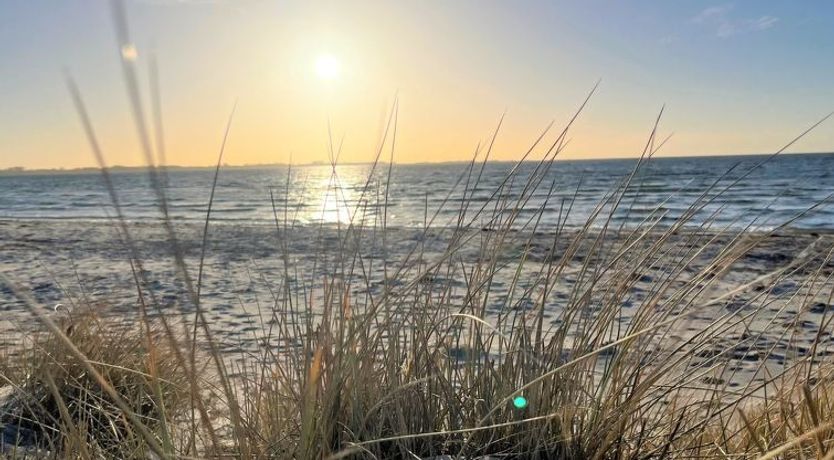 Photo of "Gregor" - 300m from the sea