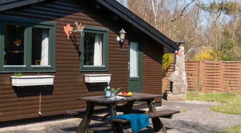 Photo of "Sander" - 800m from the sea