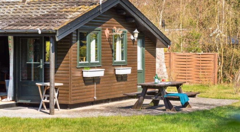 Photo of "Sander" - 800m from the sea