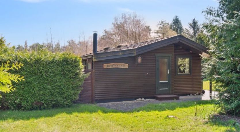 Photo of "Sander" - 800m from the sea