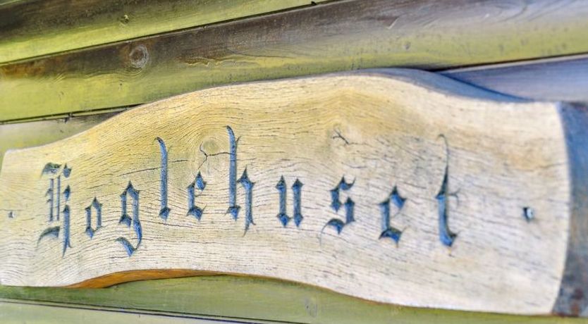 Photo of "Sander" - 800m from the sea