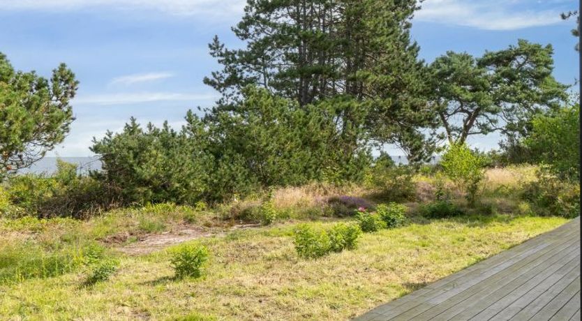 Photo of "Gjorgje" - 100m from the sea