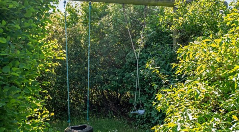 Photo of "Isving" - 1.1km to the fjord