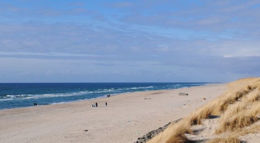 Photo of "Sightrygg" -  from the sea