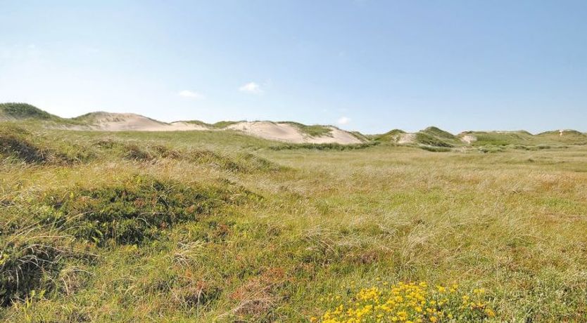 Photo of "Riborg" -  from the sea