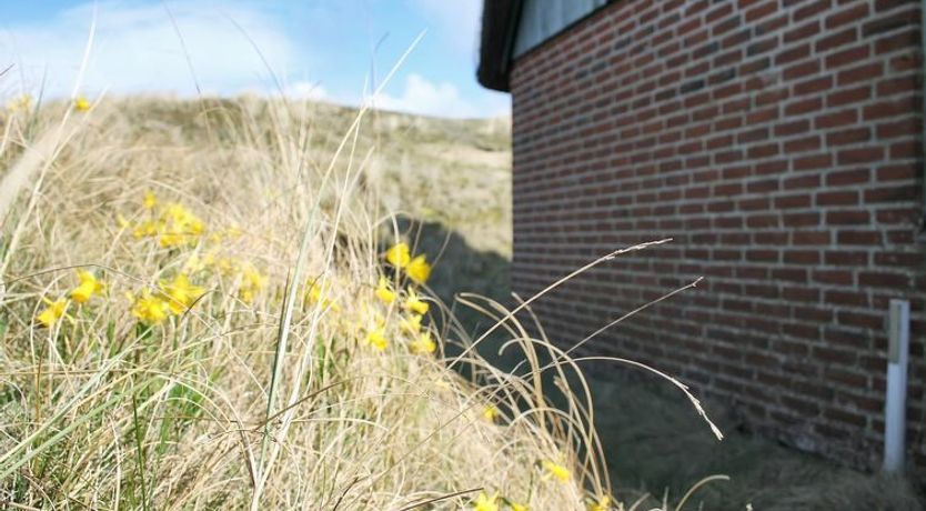 Photo of "Iivari" - 1.5km from the sea