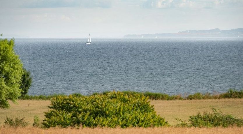 Photo of "Edithe" - 250m from the sea