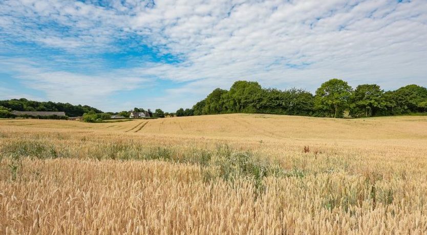Photo of "Edithe" - 250m from the sea