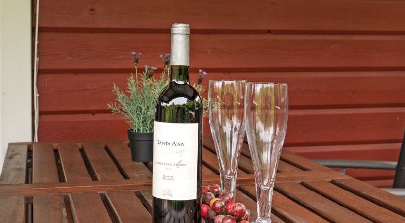 Photo of "Ernestine" - 500m to the fjord