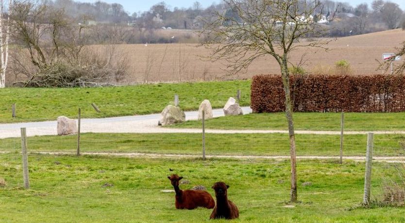 Photo of "Aloisia" - 300m from the sea