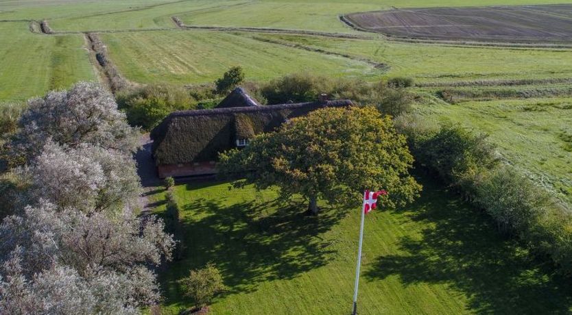 Photo of "Knut" - 10km from the sea