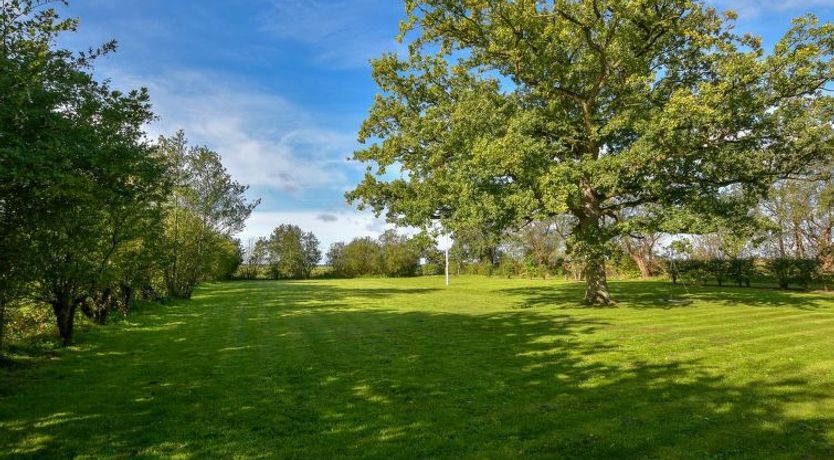 Photo of "Knut" - 10km from the sea