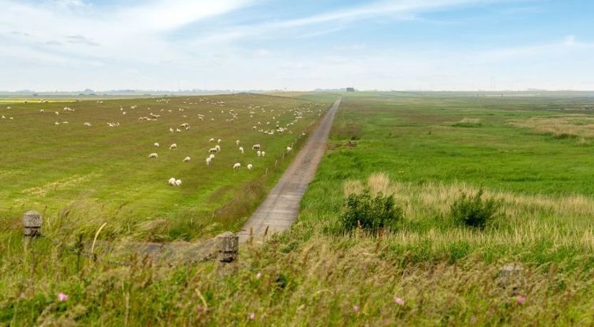 Photo of "Annagrete" - 12km from the sea