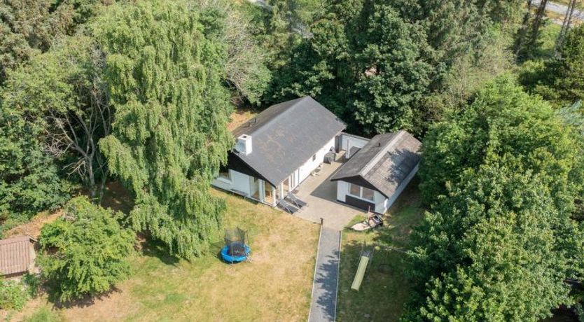 Photo of "Naumka" - 200m to the fjord