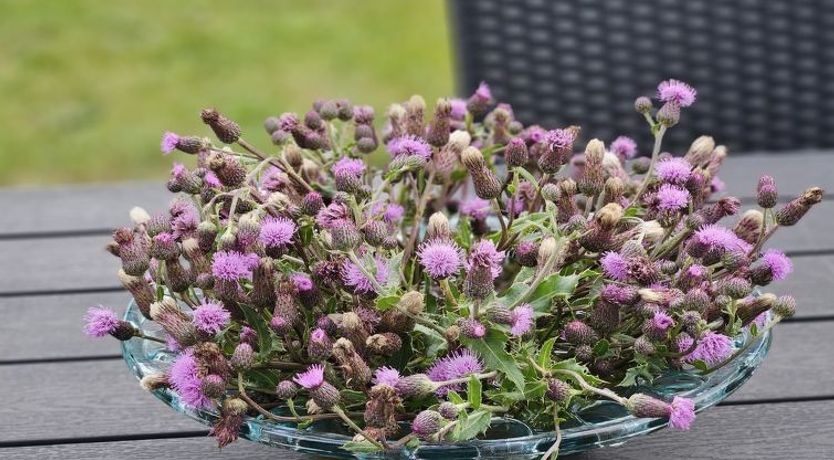 Photo of "Matthis" - 500m to the fjord