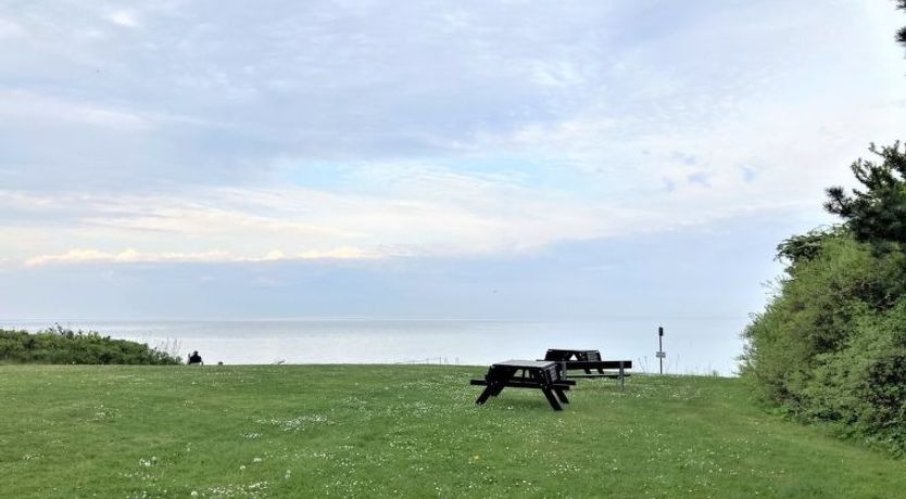 Photo of "Ilppo" - 200m from the sea