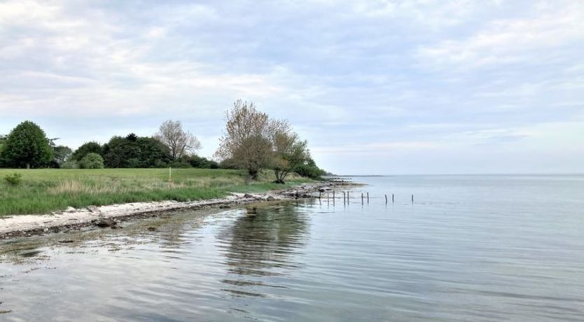 Photo of "Ilppo" - 200m from the sea