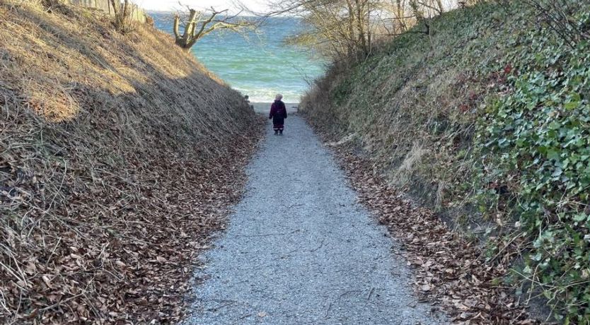 Photo of "Yakari" - 300m from the sea