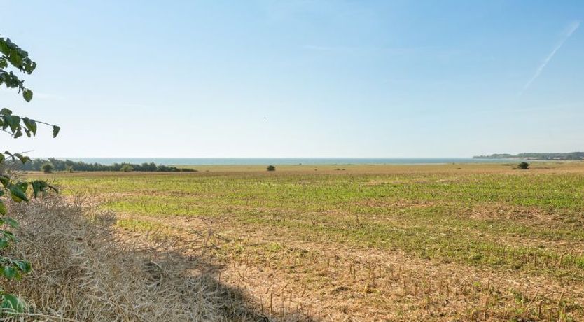 Photo of "Myrte" - 500m from the sea