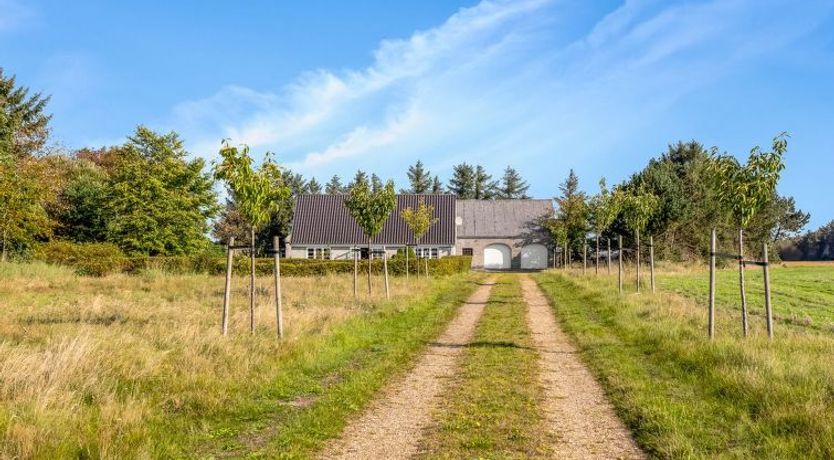 Photo of "Merrit" - 4.6km to the fjord