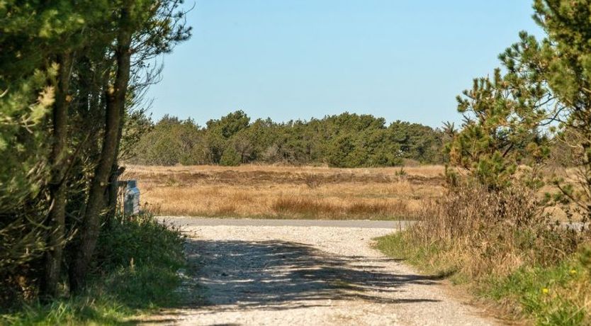 Photo of "Anegrete" - 900m from the sea