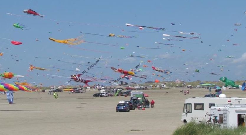 Photo of "Milly" - 100m from the sea