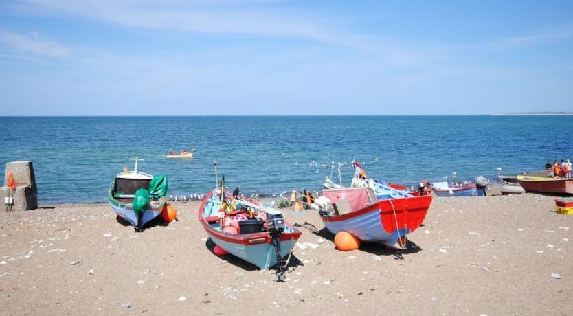 Photo of "Palli" - 600m from the sea