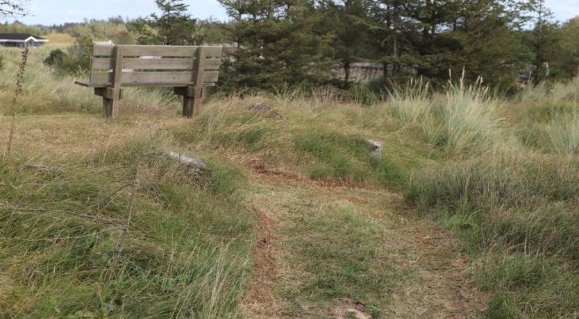 Photo of "Vanamo" - 300m from the sea