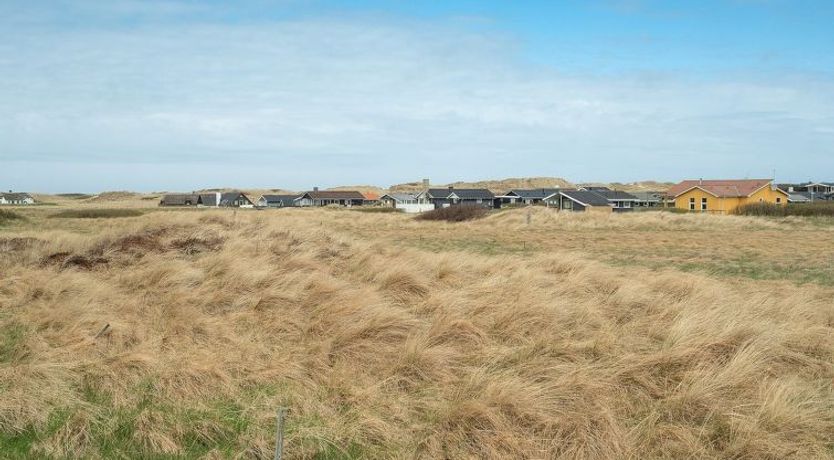 Photo of "Mauri" - 350m from the sea