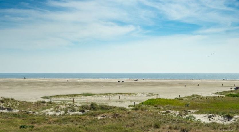 Photo of "Rieterik" - 50m from the sea